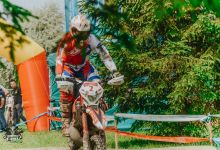 Prolog 2018013