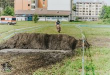 Prolog 2018029