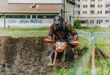 Prolog 2018036