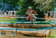 Prolog 2018066