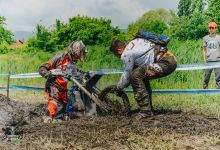 Prolog 2018079