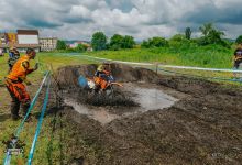 Prolog 2018089