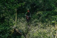 Trka 2018001