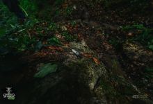 Trka 2018164