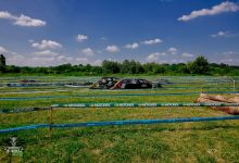Trka 2018242