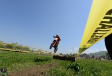 Trka 201917