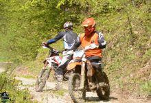 Trka 201932
